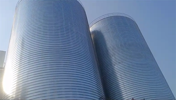 金堂2座混凝土高架卷板仓